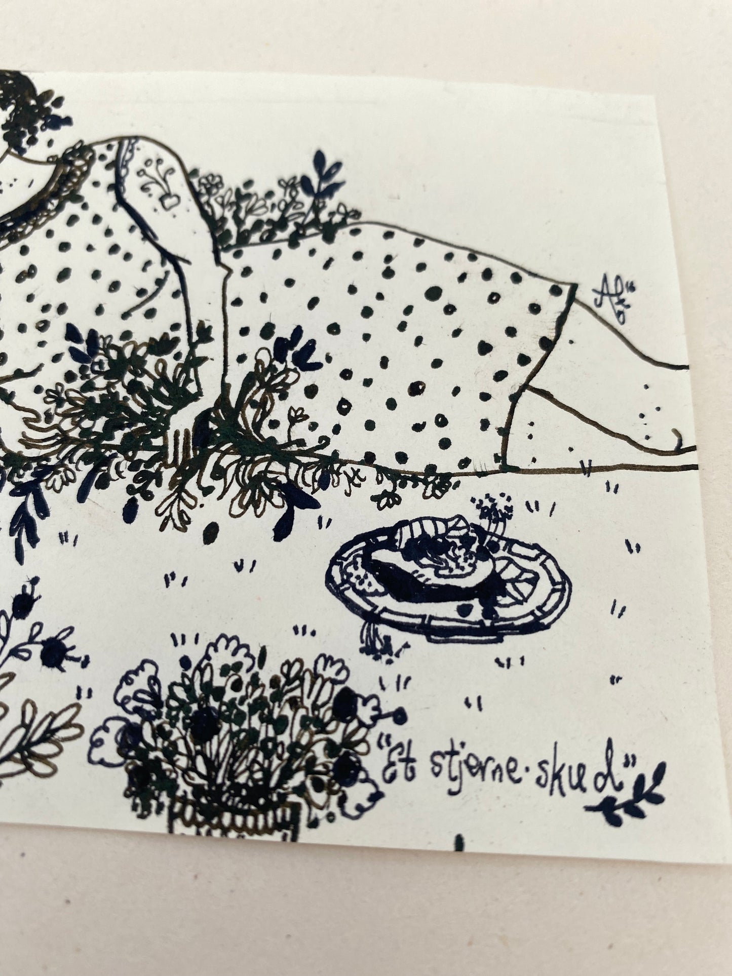 'stjerneskud' ~ ORIGINAL