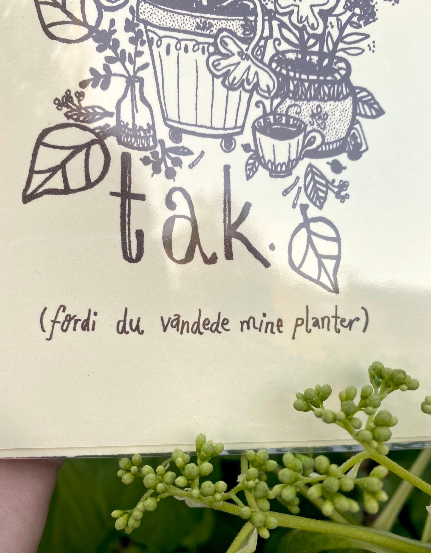 TAK (fordi du vandede mine planter) ~ greeting card